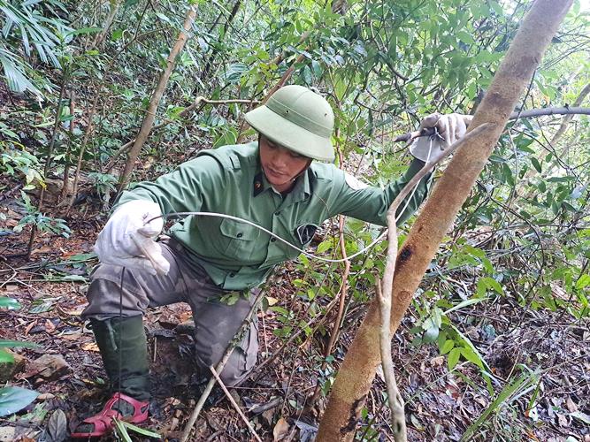 Hành trình vào rừng sâu gỡ "bẫy tử thần" giải cứu động vật hoang dã- Ảnh 6.