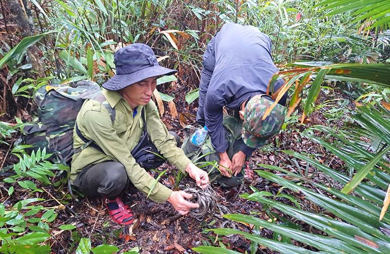 Hành trình vào rừng sâu gỡ "bẫy tử thần" giải cứu động vật hoang dã- Ảnh 2.