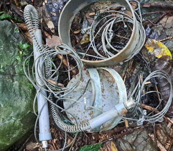 Hành trình vào rừng sâu gỡ "bẫy tử thần" giải cứu động vật hoang dã- Ảnh 4. Hành trình vào rừng sâu gỡ "bẫy tử thần" giải cứu động vật hoang dã- Ảnh 4.