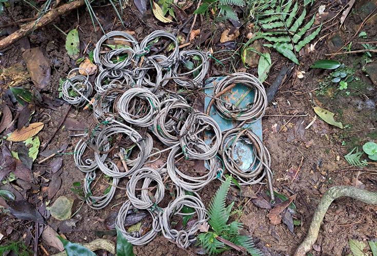 Hành trình vào rừng sâu gỡ "bẫy tử thần" giải cứu động vật hoang dã- Ảnh 5.