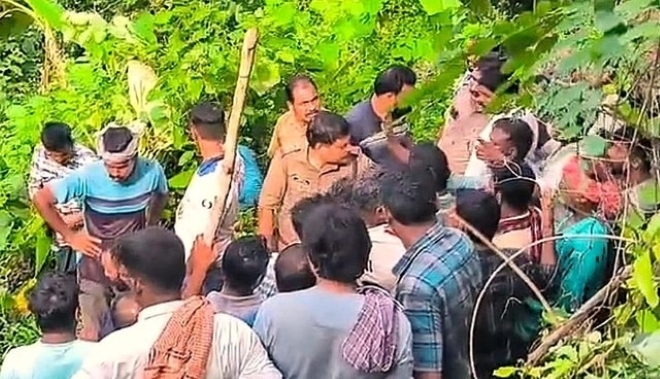 Đang làm việc say sưa, người đàn ông 44 tuổi bị hổ dữ vồ tử vong - Ảnh 1.