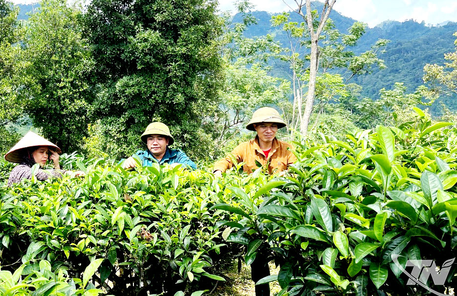 Thái Nguyên năm 2025: Bức tranh giảm nghèo đa chiều từ chính sách đến đời sống - Ảnh 2.