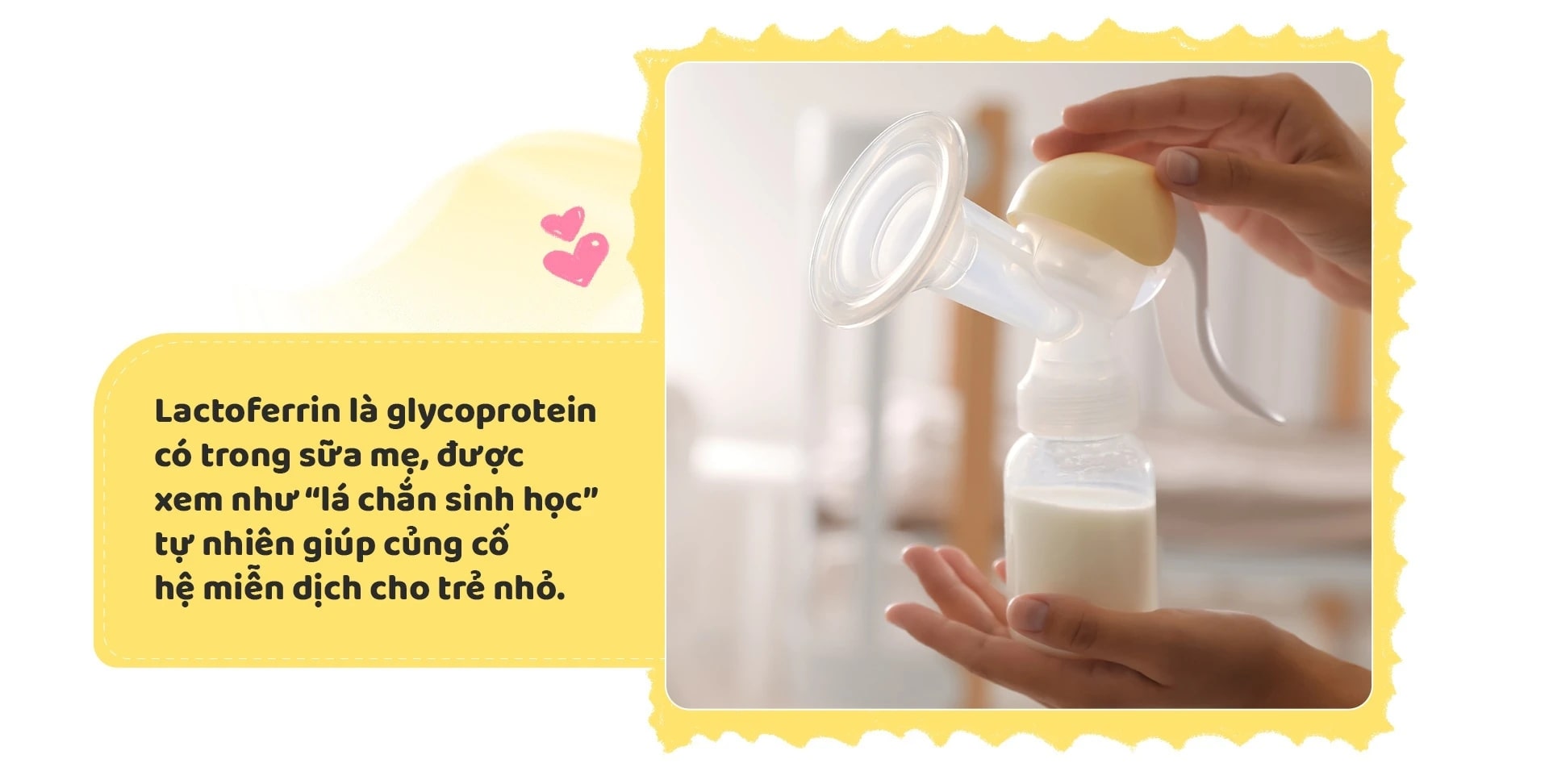 Lactoferrin và bước tiến mới trong dinh dưỡng đề kháng - Ảnh 1.