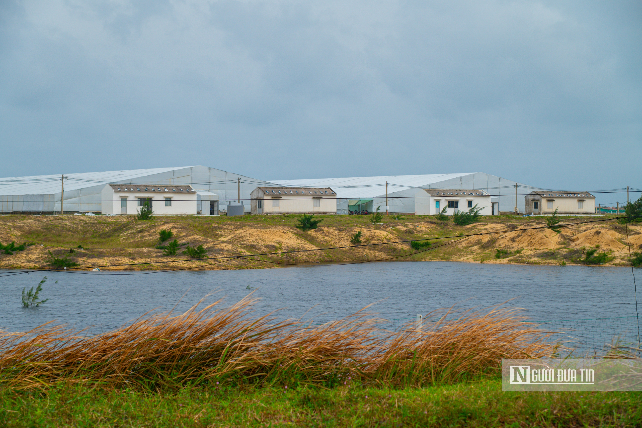 Cận cảnh khu đầm sẽ làm dự án du lịch 6 sao, 8.500 tỷ đồng thu hút giới siêu giàu trên thế giới về Gia Lai- Ảnh 4. Cận cảnh khu đầm sẽ làm dự án du lịch 6 sao, 8.500 tỷ đồng thu hút giới siêu giàu trên thế giới về Gia Lai- Ảnh 4.