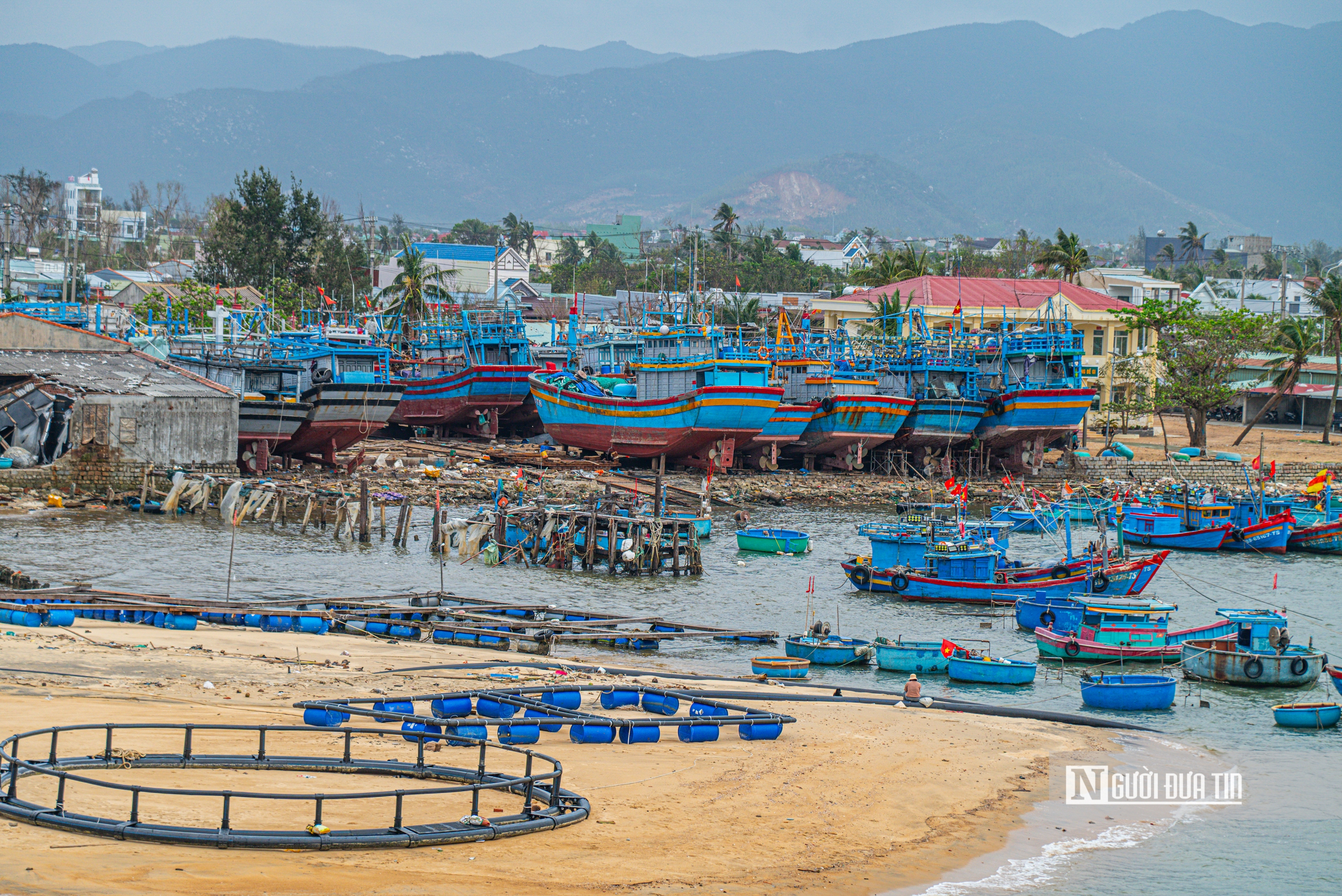 Cận cảnh khu đầm sẽ làm dự án du lịch 6 sao, 8.500 tỷ đồng thu hút giới siêu giàu trên thế giới về Gia Lai- Ảnh 3. Cận cảnh khu đầm sẽ làm dự án du lịch 6 sao, 8.500 tỷ đồng thu hút giới siêu giàu trên thế giới về Gia Lai- Ảnh 3.