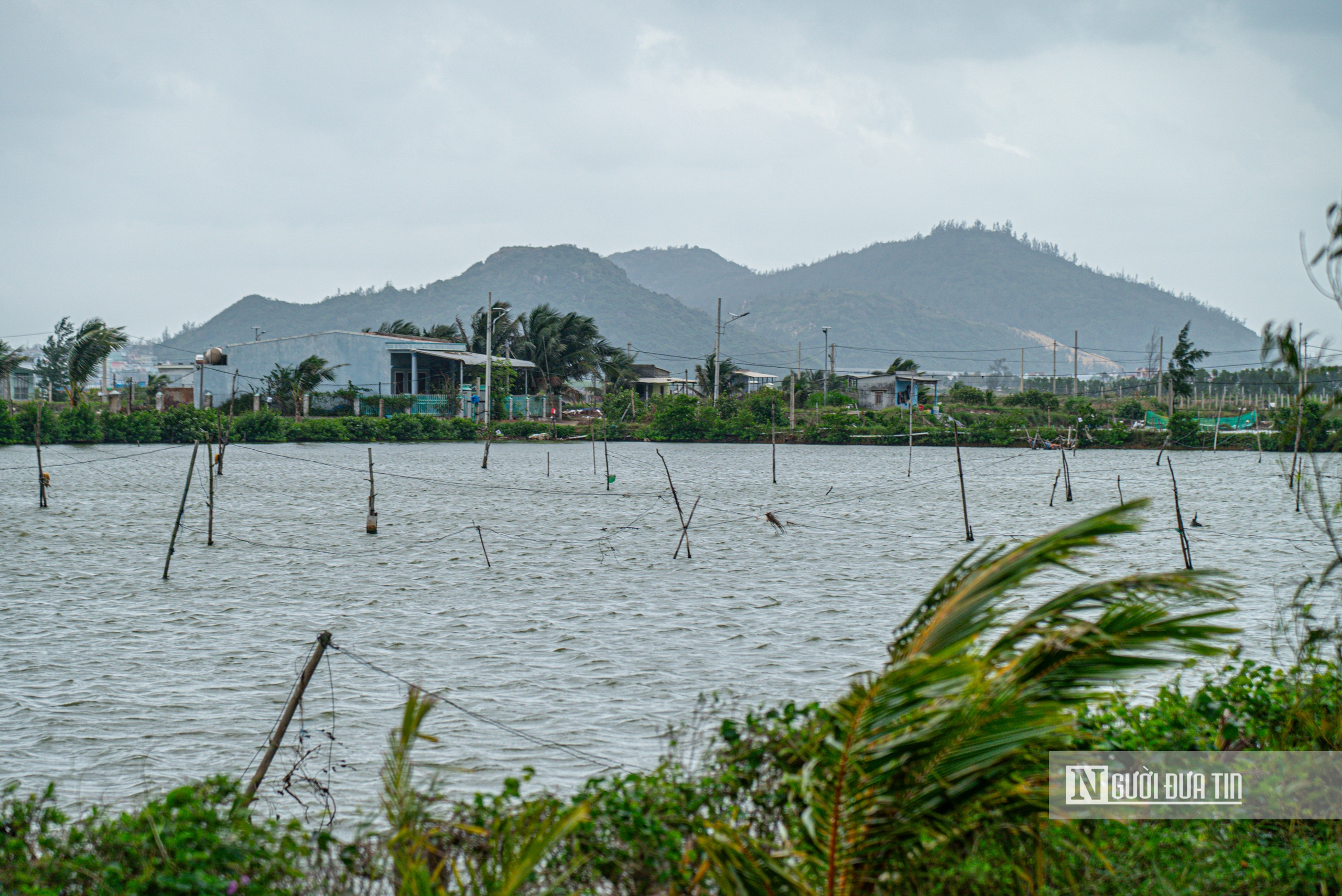 Cận cảnh khu đầm sẽ làm dự án du lịch 6 sao, 8.500 tỷ đồng thu hút giới siêu giàu trên thế giới về Gia Lai- Ảnh 5. Cận cảnh khu đầm sẽ làm dự án du lịch 6 sao, 8.500 tỷ đồng thu hút giới siêu giàu trên thế giới về Gia Lai- Ảnh 5.