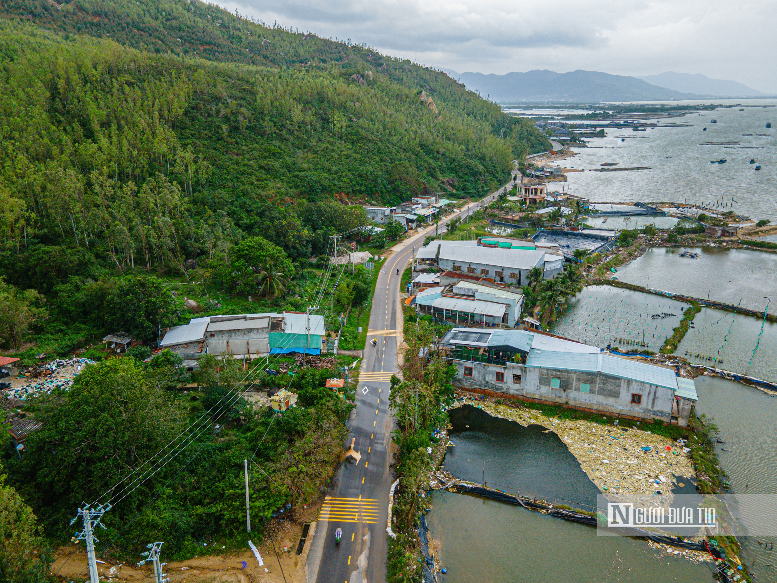 Cận cảnh khu đầm sẽ làm dự án du lịch 6 sao, 8.500 tỷ đồng thu hút giới siêu giàu trên thế giới về Gia Lai- Ảnh 10. Cận cảnh khu đầm sẽ làm dự án du lịch 6 sao, 8.500 tỷ đồng thu hút giới siêu giàu trên thế giới về Gia Lai- Ảnh 10.