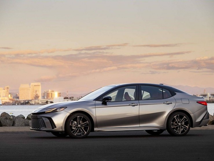 Cây thông, tùng mini “cháy hàng” mùa Noel 2025- Ảnh 14.