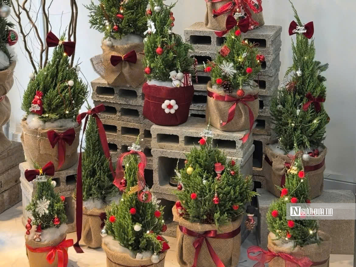 Cây thông, tùng mini “cháy hàng” mùa Noel 2025- Ảnh 7.