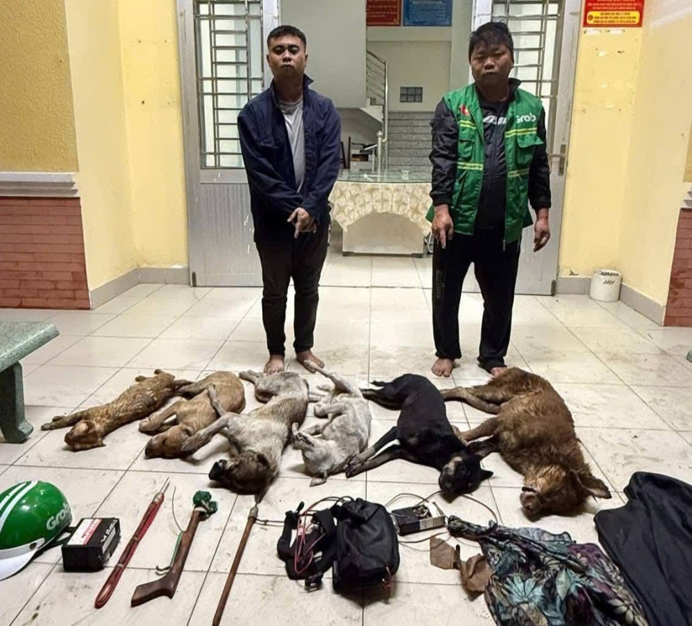 Chuyên gia pháp lý hướng dẫn người dân tránh phạm luật khi phát hiện "cẩu tặc"- Ảnh 1.