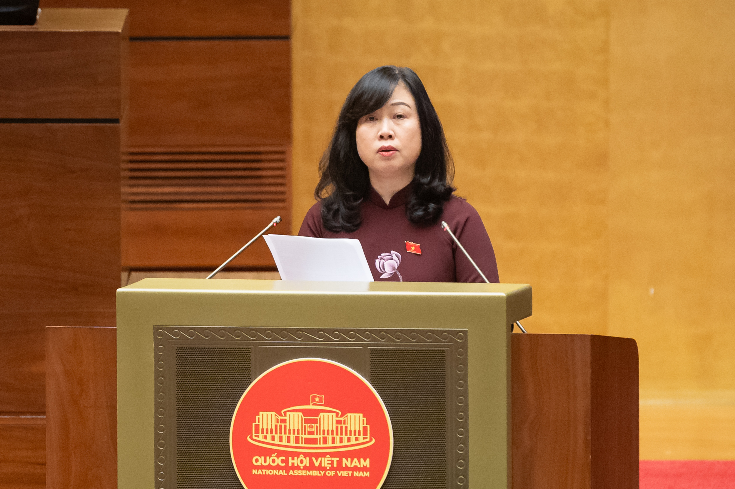 Từ 1/1/2030 miễn viện phí ở mức cơ bản cho người dân tham gia BHYT - Ảnh 1.