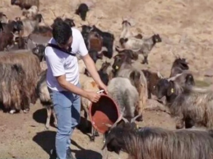 Nghề lạ "đi làm như đi chơi" tháng kiếm trăm triệu, nghe thôi đã muốn đi làm - Ảnh 5.