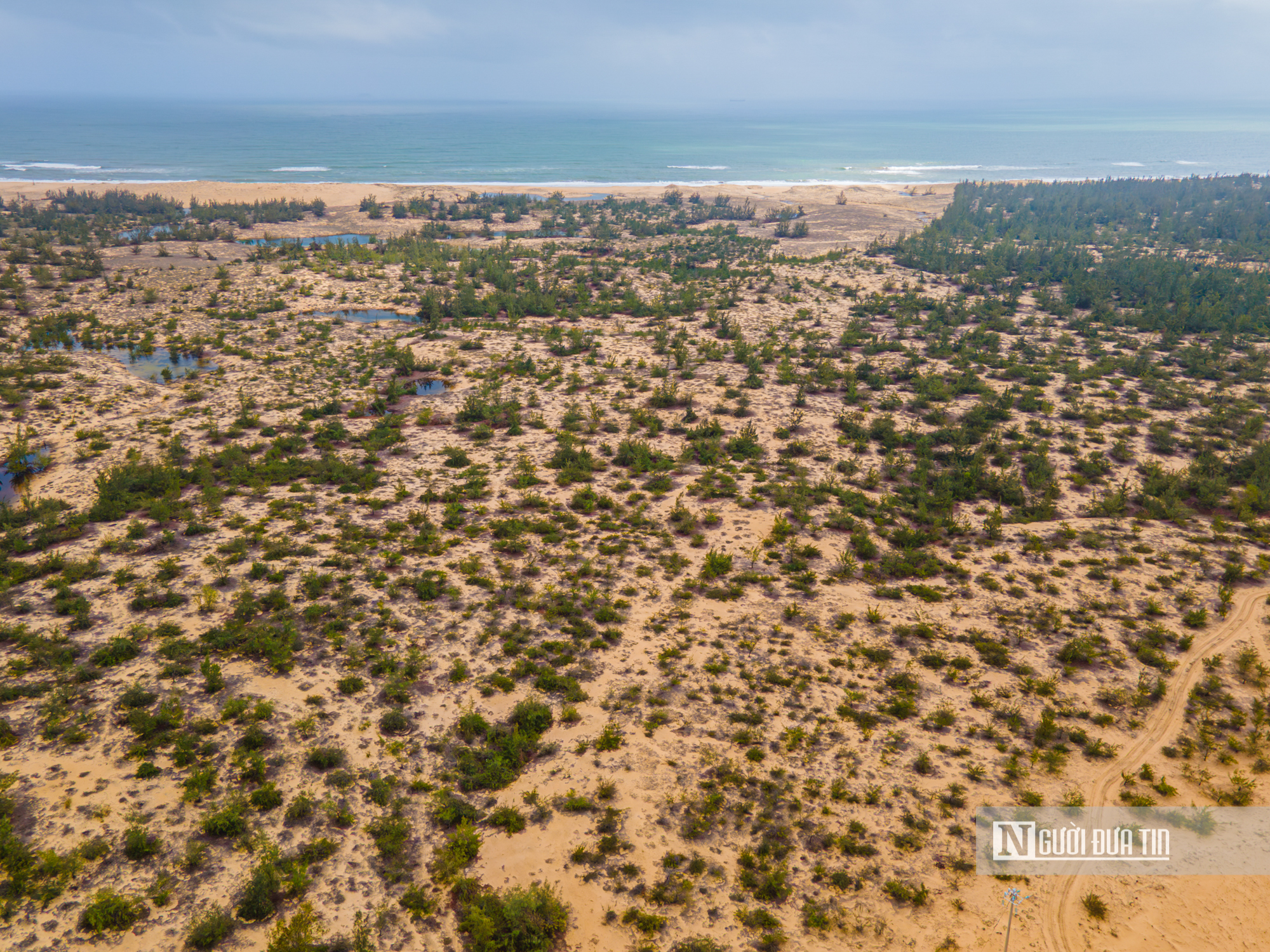 Cận cảnh dự án 2.600 tỷ biến vùng biển hoang sơ thành nơi tổ chức Đại nhạc hội Quốc tế tại Gia Lai- Ảnh 3. Cận cảnh dự án 2.600 tỷ biến vùng biển hoang sơ thành nơi tổ chức Đại nhạc hội Quốc tế tại Gia Lai- Ảnh 3.