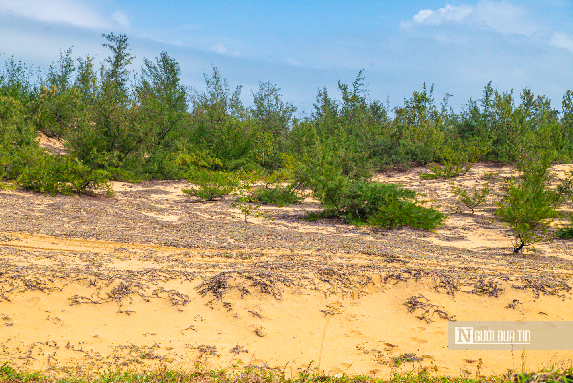 Cận cảnh dự án 2.600 tỷ biến vùng biển hoang sơ thành nơi tổ chức Đại nhạc hội Quốc tế tại Gia Lai- Ảnh 6. Cận cảnh dự án 2.600 tỷ biến vùng biển hoang sơ thành nơi tổ chức Đại nhạc hội Quốc tế tại Gia Lai- Ảnh 6.