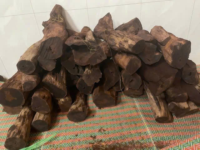 Dân ồ ạt lên rừng săn lùng gỗ tạp bán 3 triệu đồng/kg: Siết chặt quản lý rừng - Ảnh 1.