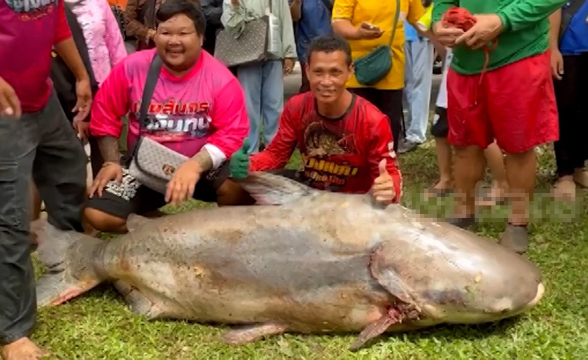 Người đàn ông câu được con cá "khổng lồ" nặng 200kg trên sông - Ảnh 1.