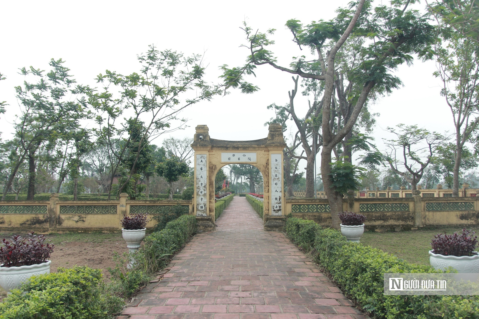 Cận cảnh 2 cây cổ thụ hơn 300 năm tuổi trong quần thể di tích Quốc gia đặc biệt Nguyễn Du ở Hà Tĩnh - Ảnh 2.