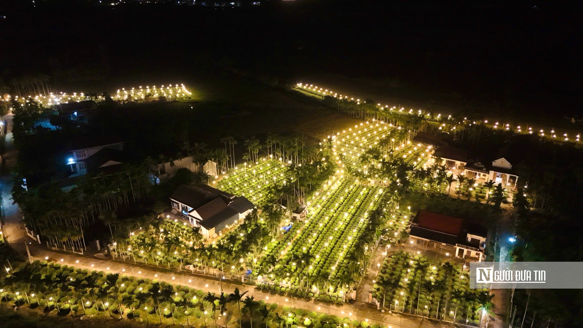 Quảng Ngãi: Nông dân trắng đêm chong đèn, giữ ấm cho mùa hoa Tết- Ảnh 1. Quảng Ngãi: Nông dân trắng đêm chong đèn, giữ ấm cho mùa hoa Tết- Ảnh 1.