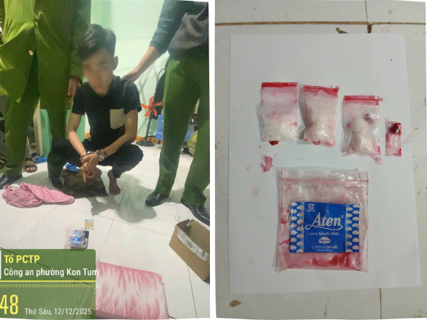 Vật thể trong bồn cầu "bóc trần" hành vi sai trái của thiếu niên 17 tuổi - Ảnh 1.