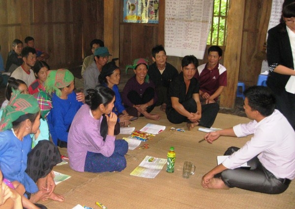 Người phụ nữ "thoát ngồi tù" vì phát cây rừng gây bóng ruộng lúa- Ảnh 1. Người phụ nữ "thoát ngồi tù" vì phát cây rừng gây bóng ruộng lúa- Ảnh 1.