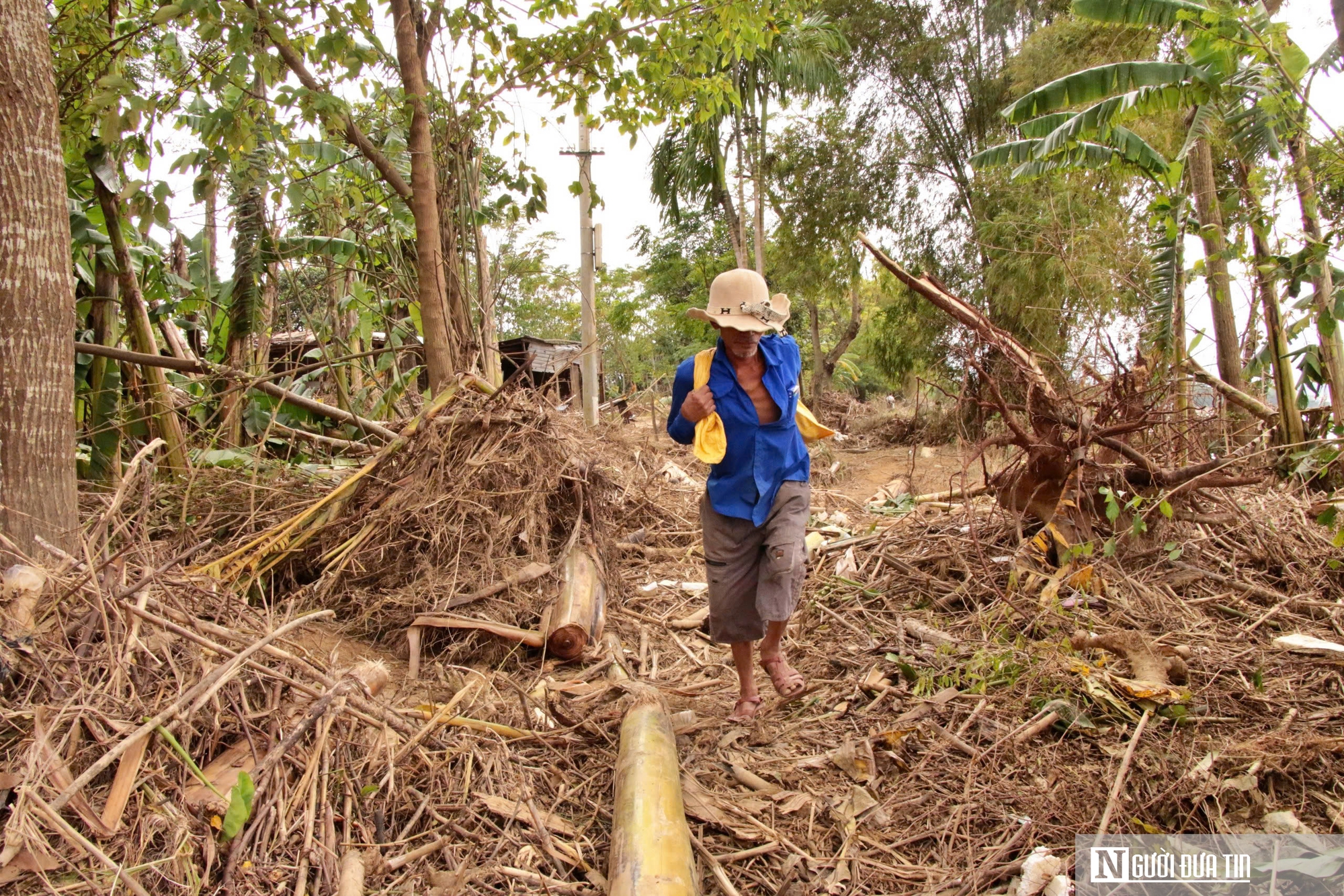 Đà Nẵng: Sạt lở bủa vây, hàng trăm hộ dân sống trong nỗi lo mất đất, mất đường- Ảnh 2. Đà Nẵng: Sạt lở bủa vây, hàng trăm hộ dân sống trong nỗi lo mất đất, mất đường- Ảnh 2.