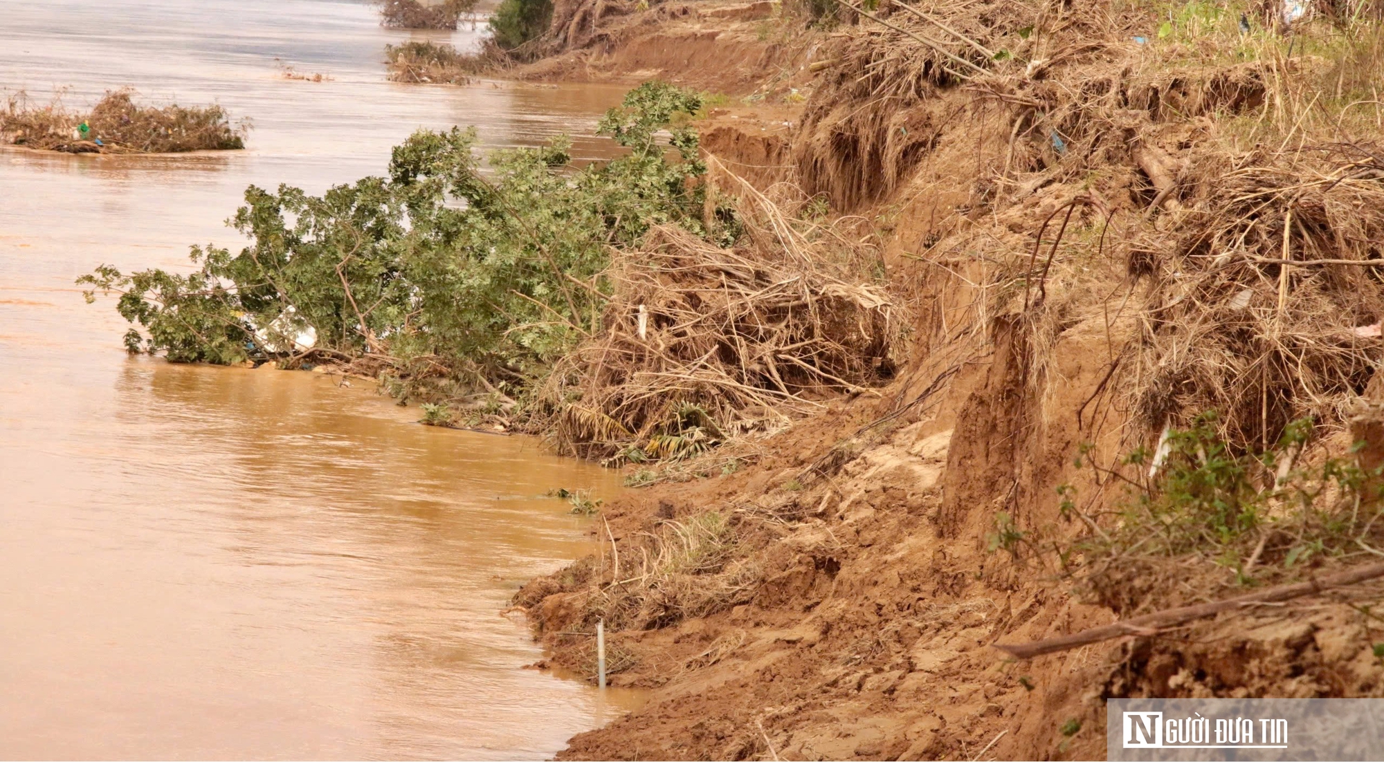 Đà Nẵng: Sạt lở bủa vây, hàng trăm hộ dân sống trong nỗi lo mất đất, mất đường- Ảnh 8. Đà Nẵng: Sạt lở bủa vây, hàng trăm hộ dân sống trong nỗi lo mất đất, mất đường- Ảnh 8.