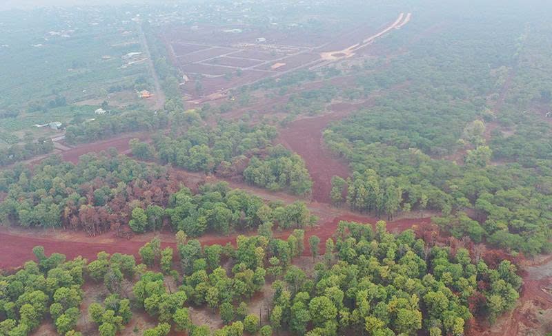 Gia Lai tìm nhà đầu tư cho dự án Sân Golf Đak Đoa hơn 1.150 tỷ đồng- Ảnh 2. Gia Lai tìm nhà đầu tư cho dự án Sân Golf Đak Đoa hơn 1.150 tỷ đồng- Ảnh 2.