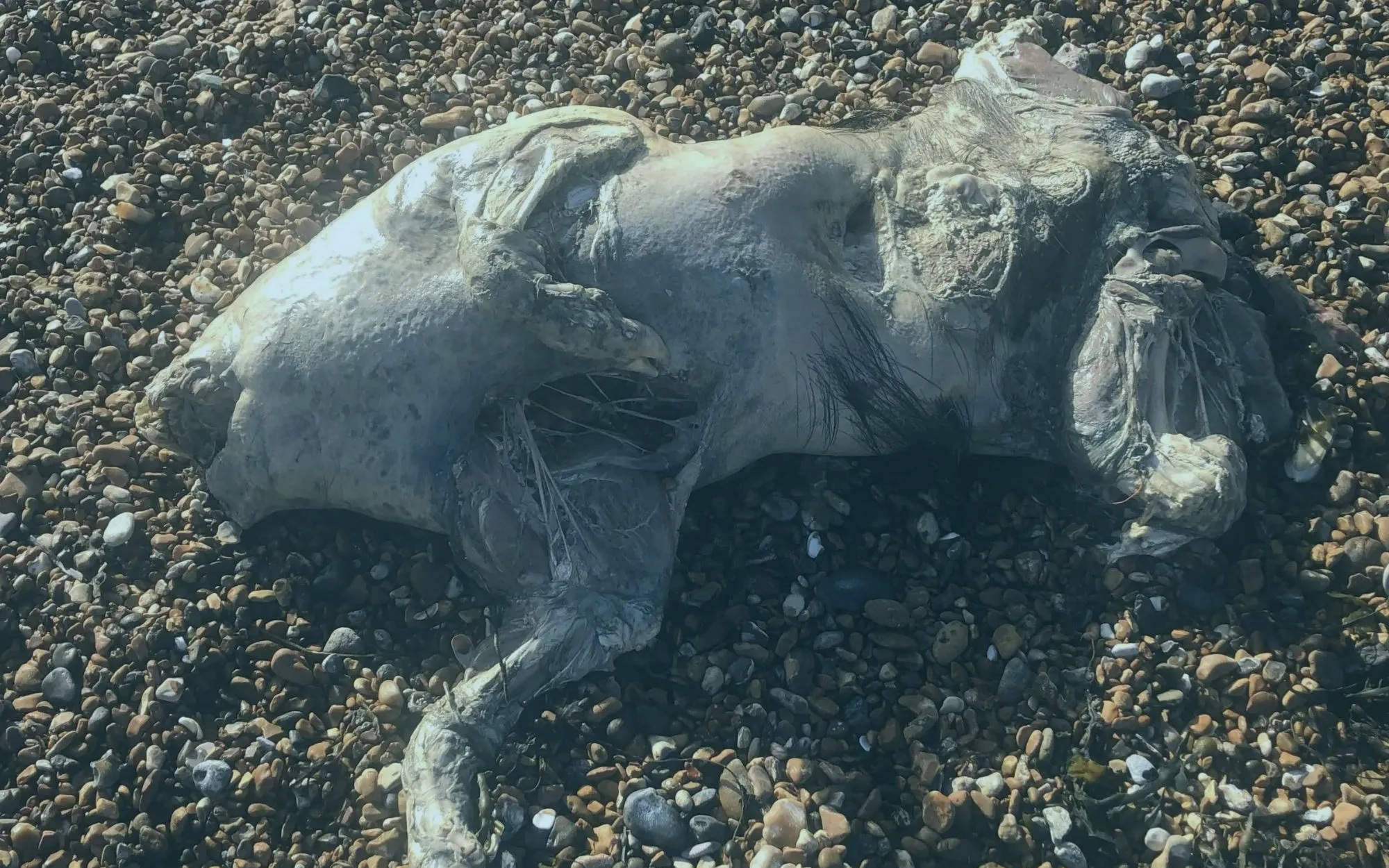 Tai nạn máy bay ở Mexico, ít nhất 7 người thiệt mạng - Ảnh 2.