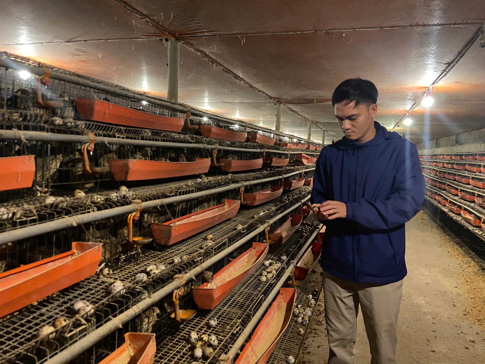 Từ hai bàn tay trắng, chàng trai trẻ trở thành triệu phú nhờ nuôi con "mắn đẻ"- Ảnh 4.