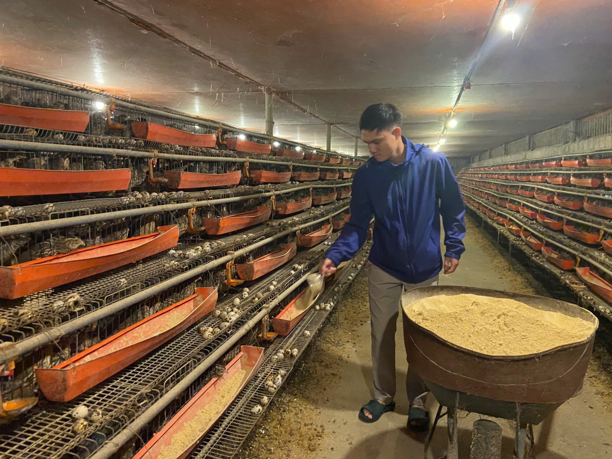 Từ hai bàn tay trắng, chàng trai trẻ trở thành triệu phú nhờ nuôi con "mắn đẻ"- Ảnh 1.