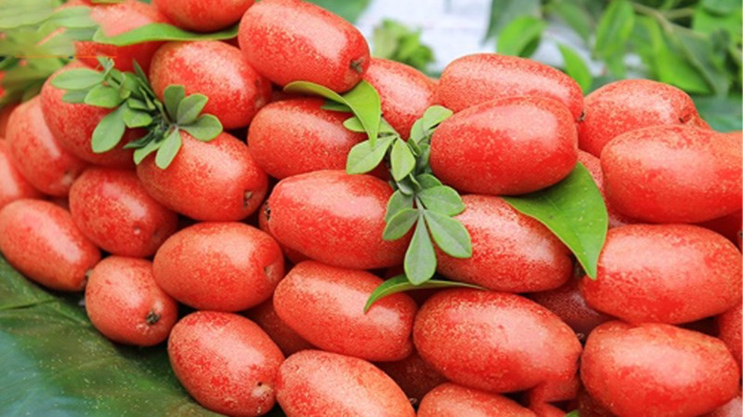 Loại cây ở Việt Nam giá rẻ như cho, sang "trời tây" 3,5 triệu đồng/cây - Ảnh 3.