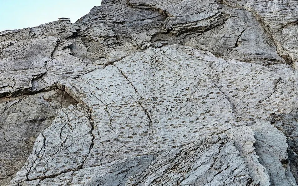 Hiện tượng lạ: Sương mù màu hồng khiến người dân kinh ngạc - Ảnh 2.