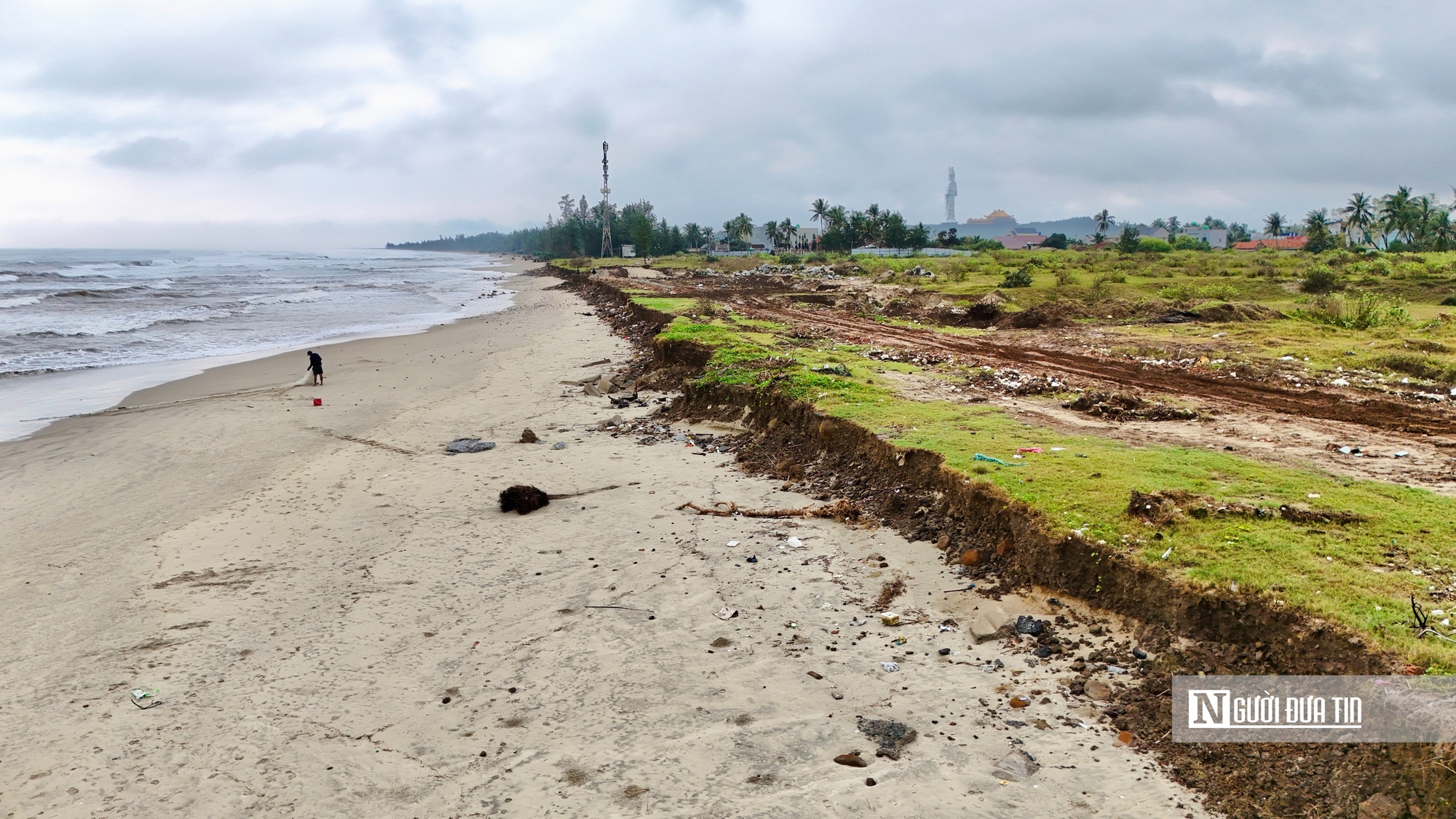 B&atilde;i tắm đẹp nhất Quảng Ng&atilde;i trước nguy cơ bị "x&oacute;a sổ" do triều cường v&agrave; x&acirc;m thực- Ảnh 2.