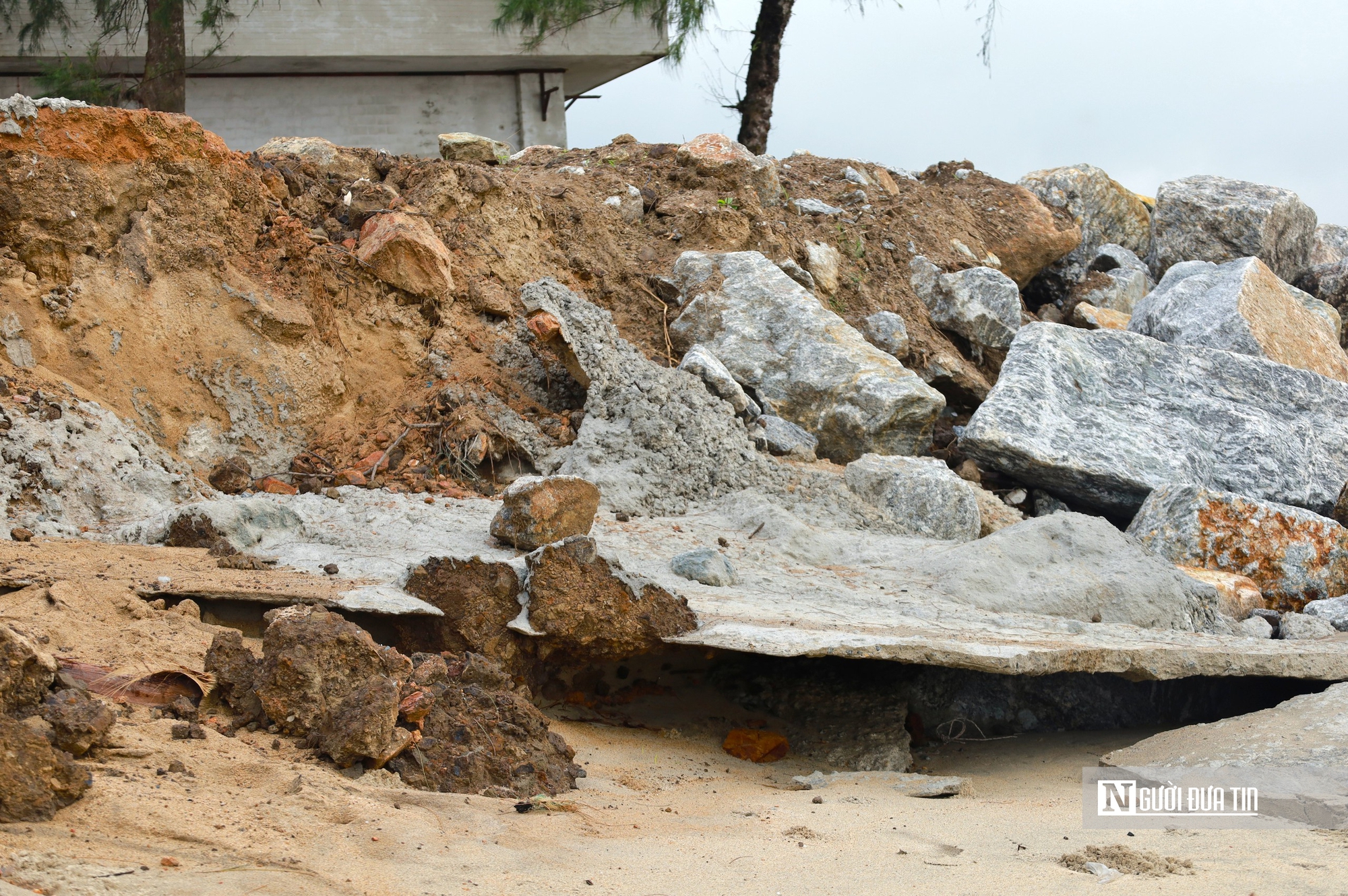 Bãi tắm đẹp nhất Quảng Ngãi trước nguy cơ bị "xóa sổ" do triều cường và xâm thực- Ảnh 4.