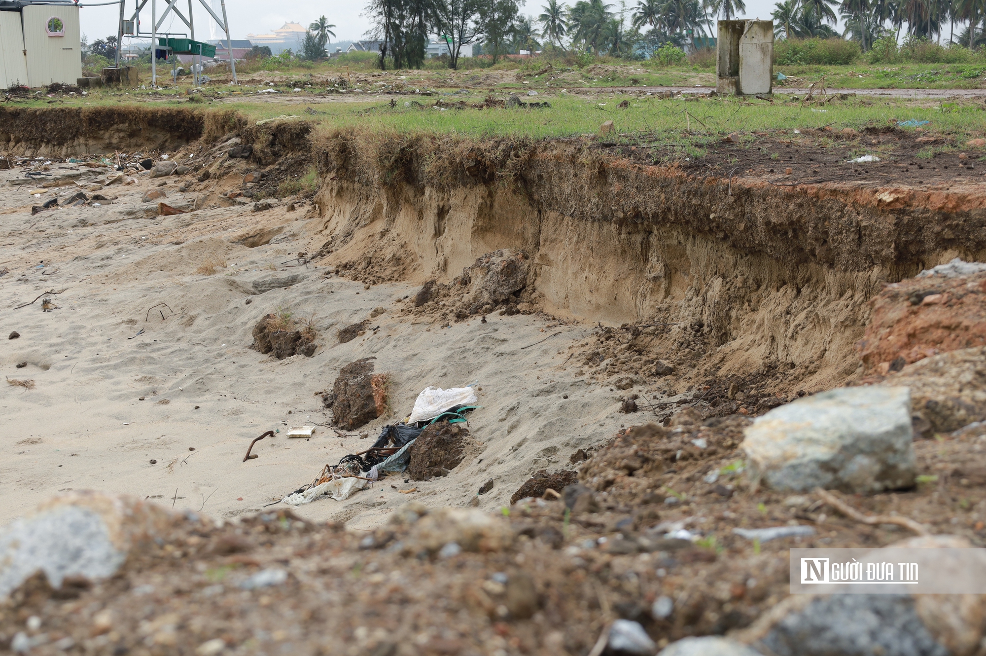 Bãi tắm đẹp nhất Quảng Ngãi trước nguy cơ bị "xóa sổ" do triều cường và xâm thực- Ảnh 14.