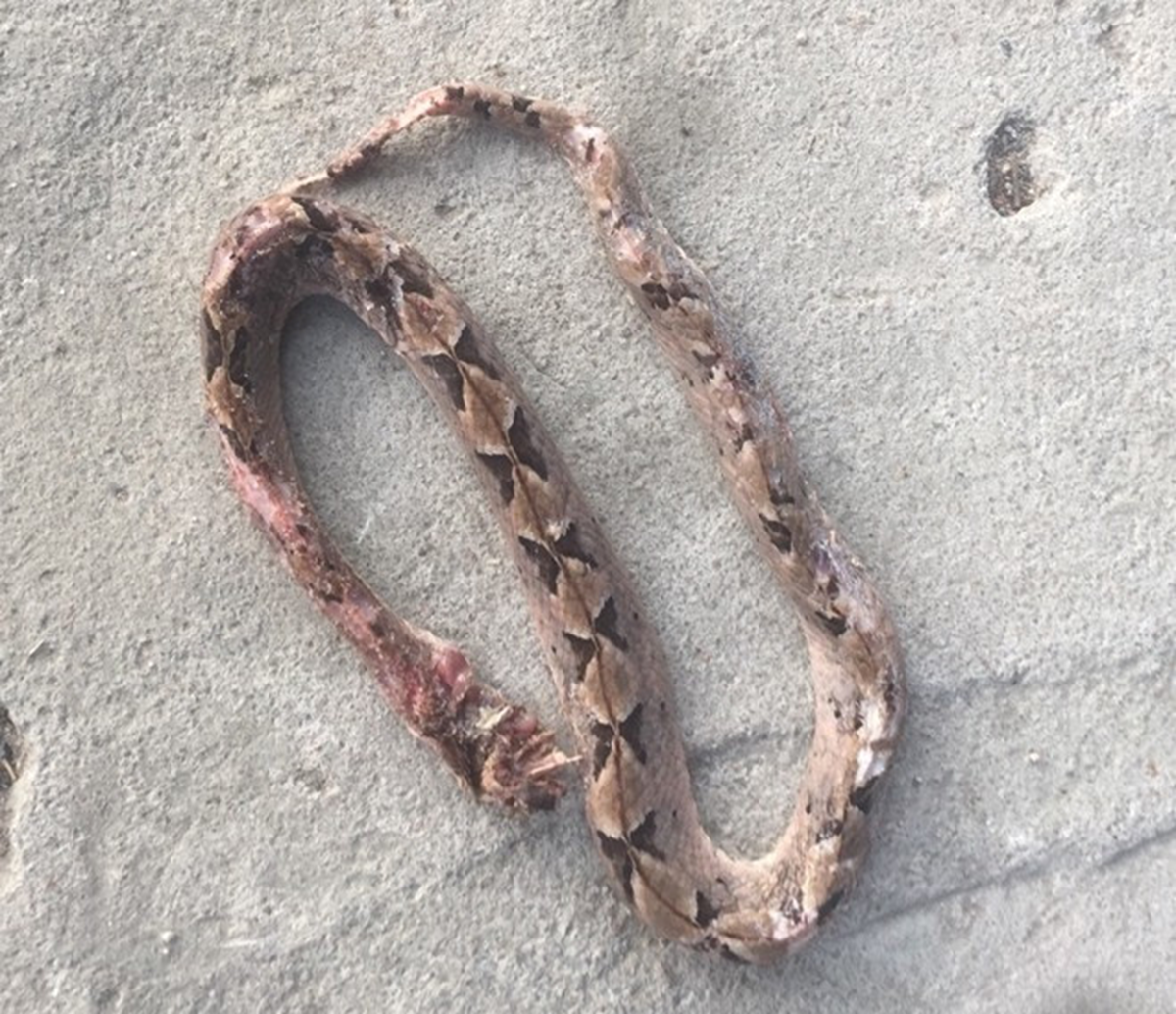 Người đàn ông 27 tuổi suýt mất mạng vì tự ý chữa bệnh theo “kiểu lạ” - Ảnh 2.