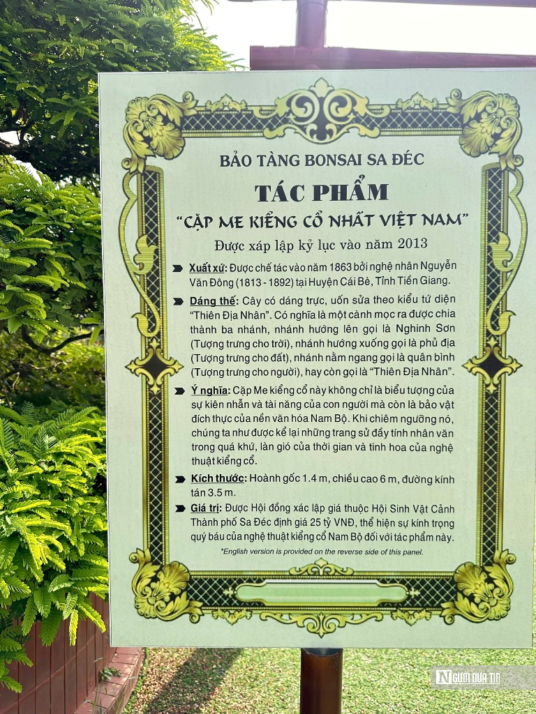 Câu chuyện phía sau bảo tàng bonsai trị giá hàng triệu USD ở Đồng Tháp- Ảnh 2.