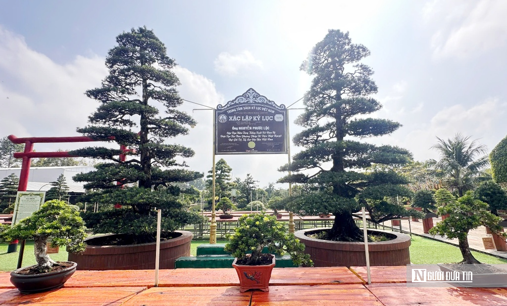 Câu chuyện phía sau bảo tàng bonsai trị giá hàng triệu USD ở Đồng Tháp- Ảnh 6.