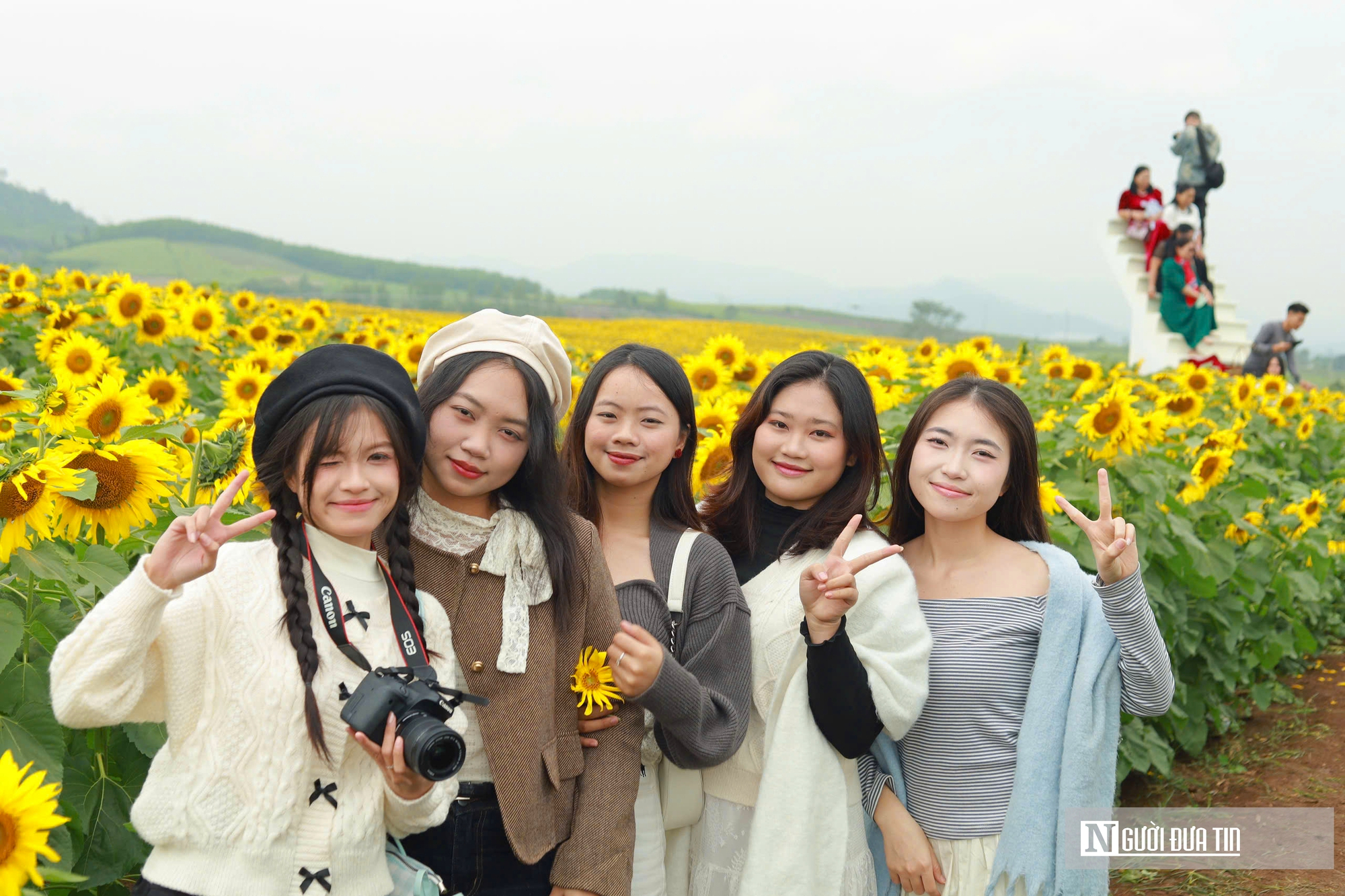 Giới trẻ mê mẩn check – in sống ảo với cánh đồng hoa hướng dương ở xứ Nghệ- Ảnh 3. Giới trẻ mê mẩn check – in sống ảo với cánh đồng hoa hướng dương ở xứ Nghệ- Ảnh 3.