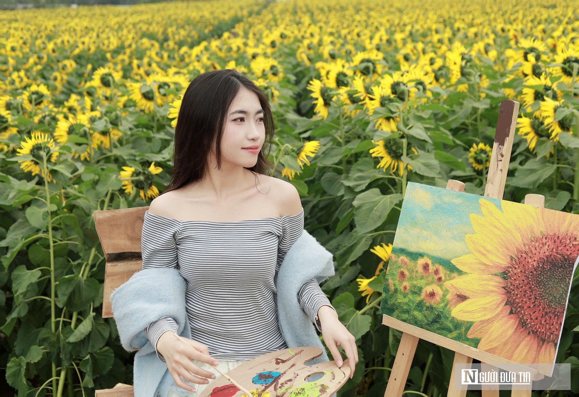 Giới trẻ mê mẩn check – in sống ảo với cánh đồng hoa hướng dương ở xứ Nghệ- Ảnh 6. Giới trẻ mê mẩn check – in sống ảo với cánh đồng hoa hướng dương ở xứ Nghệ- Ảnh 6.