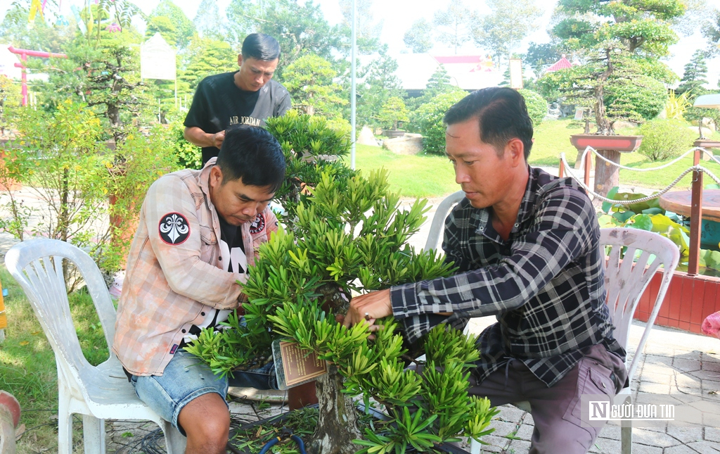 Câu chuyện phía sau bảo tàng bonsai trị giá hàng triệu USD ở Đồng Tháp- Ảnh 7.