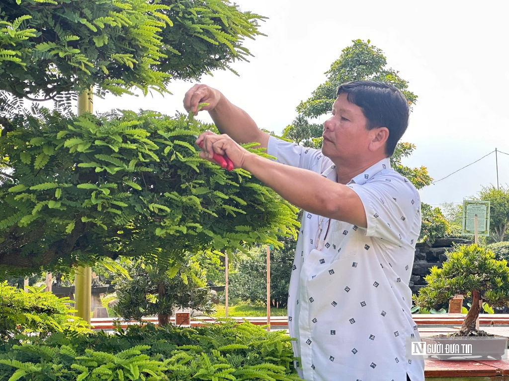 Câu chuyện phía sau bảo tàng bonsai trị giá hàng triệu USD ở Đồng Tháp- Ảnh 1.