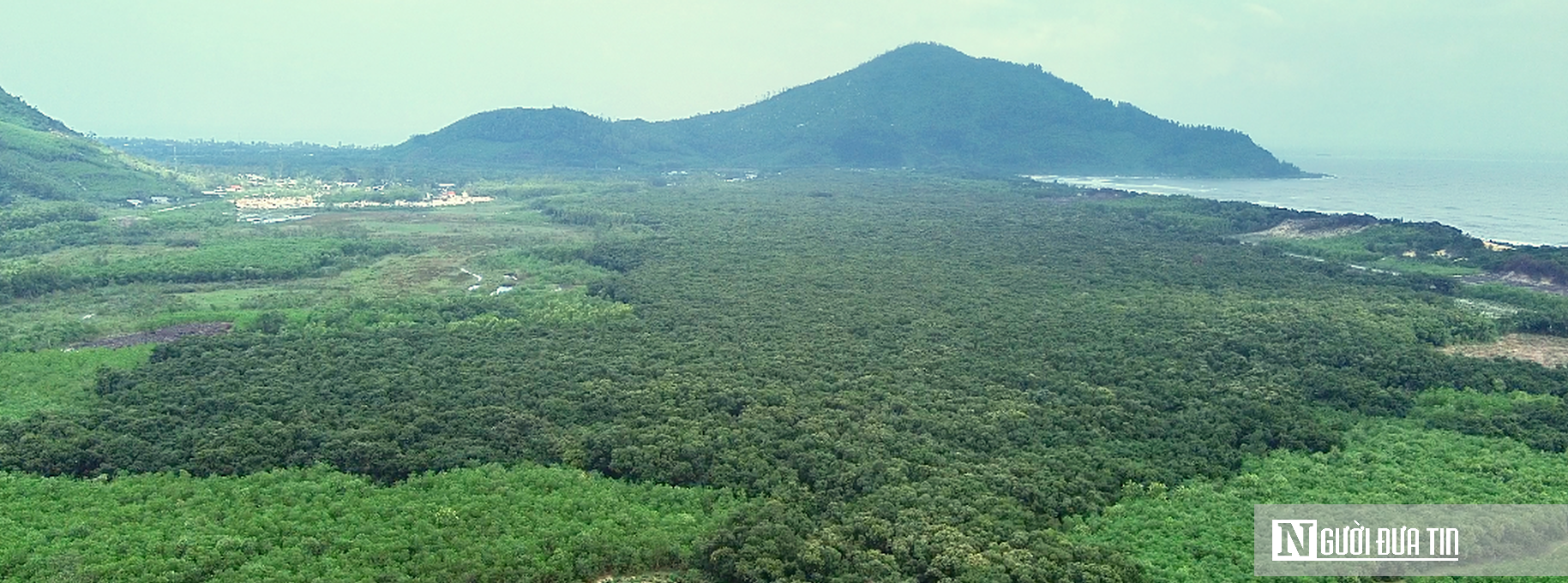 VIDEO: Ngắm &lsquo;ph&aacute;o đ&agrave;i xanh&rsquo; trăm tuổi hiếm c&oacute; giữa cồn c&aacute;t ven biển Huế- Ảnh 1.