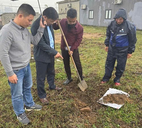 Th&ocirc;ng tin về nguy&ecirc;n nh&acirc;n hiện tượng giun b&ograve; l&ecirc;n mặt đất chết h&agrave;ng loạt ở Quảng Trị - Ảnh 2.
