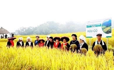 Nông nghiệp thông minh: Điểm sáng giảm nghèo ở Thái Nguyên - Ảnh 1.