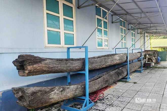 Ph&aacute;t huy gi&aacute; trị h&agrave;ng ngh&igrave;n cổ vật, bảo vật Quốc gia từ dự &aacute;n hơn 300 tỷ đồng - Ảnh 2.