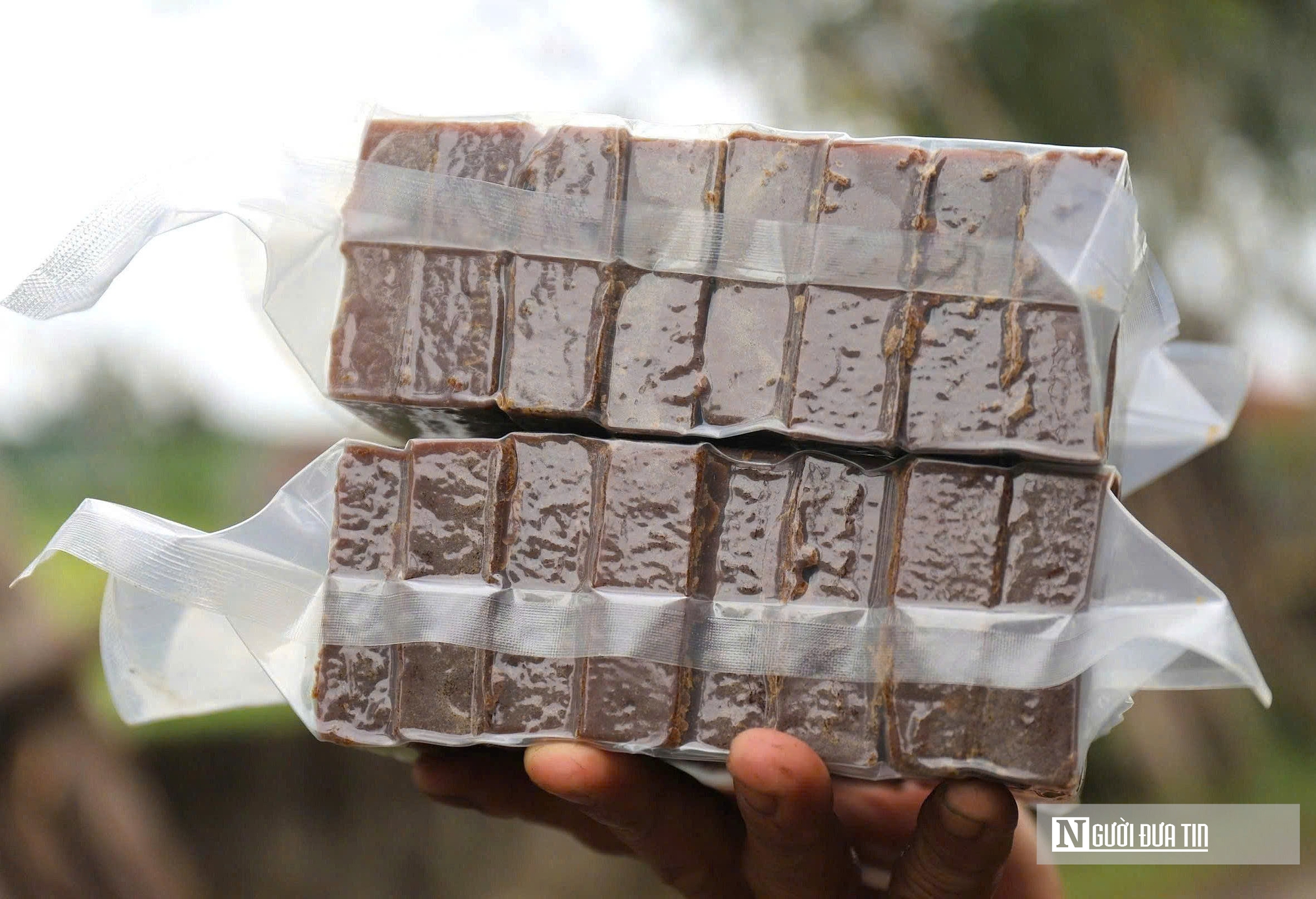 Nông dân miền Tây xứ Nghệ nấu cây “ngọt ngào” ra đặc sản mang giá trị cao- Ảnh 15.