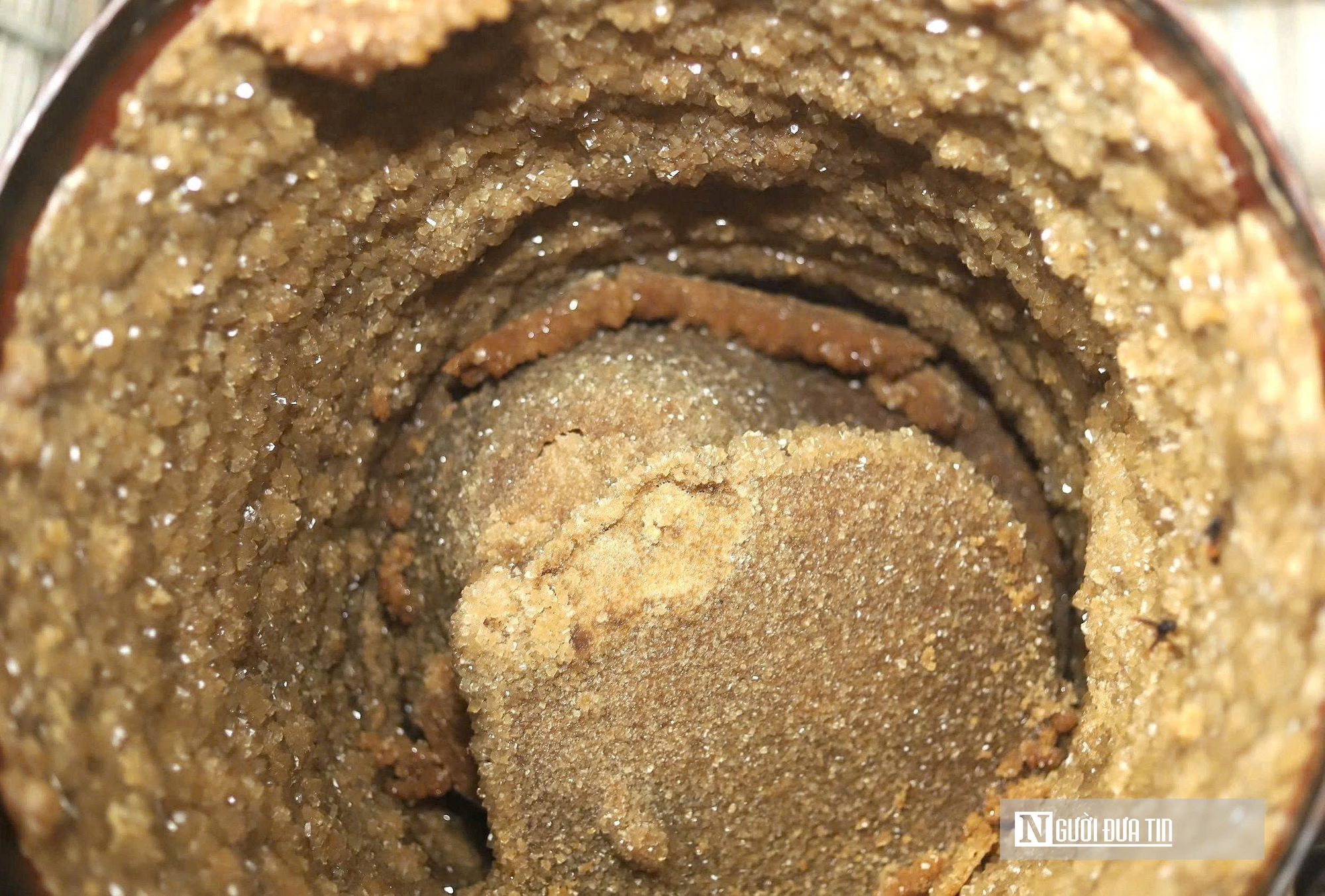 Nông dân miền Tây xứ Nghệ nấu cây “ngọt ngào” ra đặc sản mang giá trị cao- Ảnh 16.