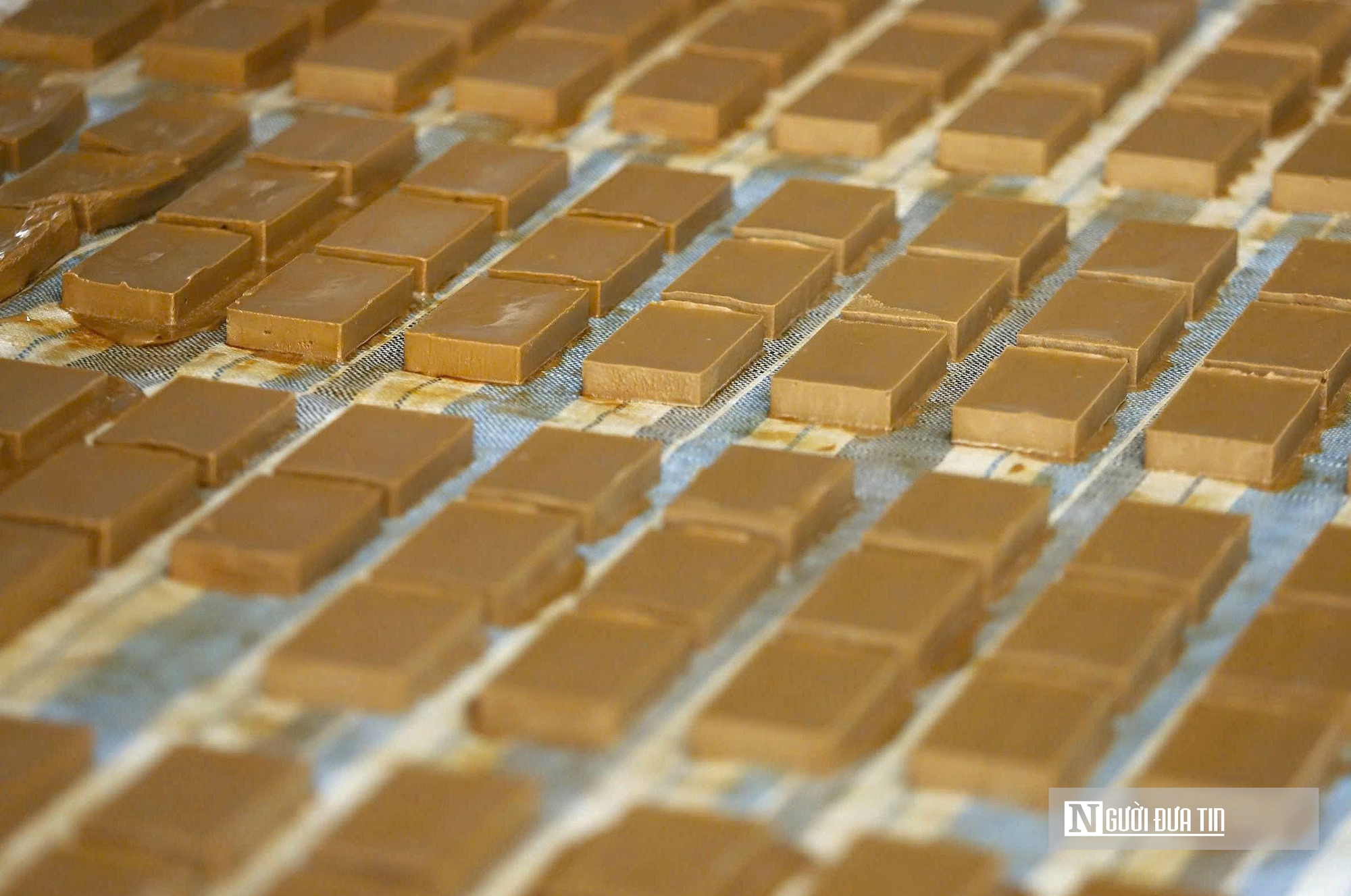 Nông dân miền Tây xứ Nghệ nấu cây “ngọt ngào” ra đặc sản mang giá trị cao- Ảnh 19.