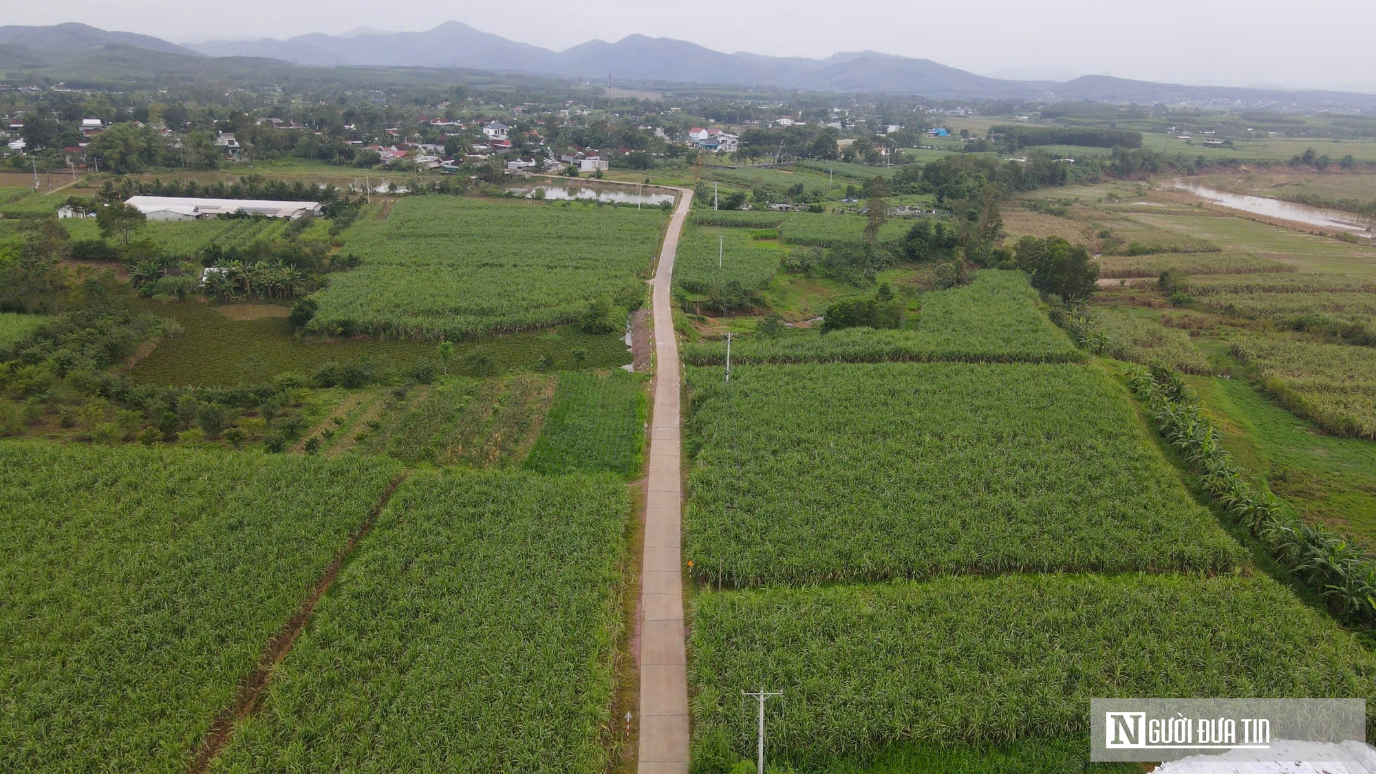 Nông dân miền Tây xứ Nghệ nấu cây “ngọt ngào” ra đặc sản mang giá trị cao- Ảnh 1.